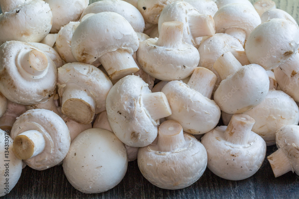 Gros champignons de Paris - Agaricus bisporus - en tas Gros champignons de Paris - Agaricus bisporus - en tas