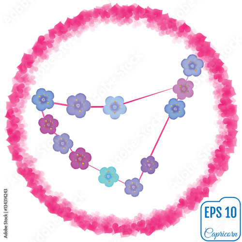 Zodiac sign Capricorn. Primula concept. Flowers concept. Constel photo