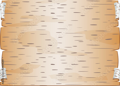 Piece of birch bark Twisted and chinked Blank for epistle