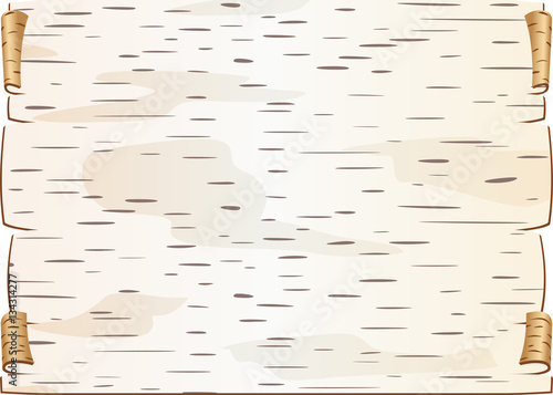 Piece of birch bark Twisted and chinked Blank for epistle