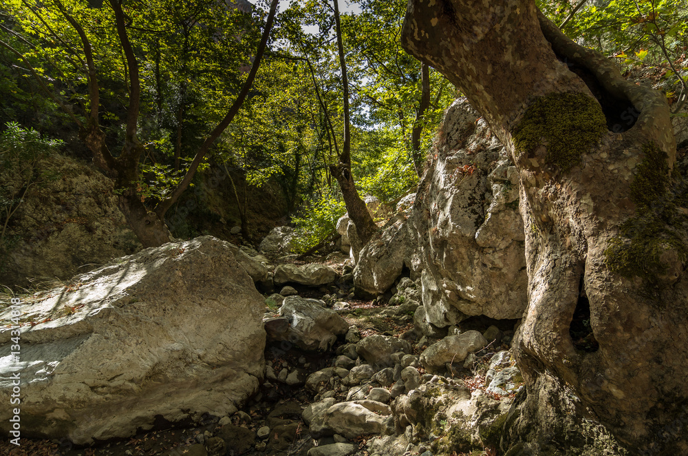 Agios Antonios Schlucht, Kreta, Griechenland Agios Antonios Schlucht, Kreta, Griechenland