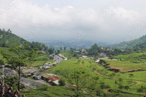 Houses and tea plantations in Puncak, Indonesia photo