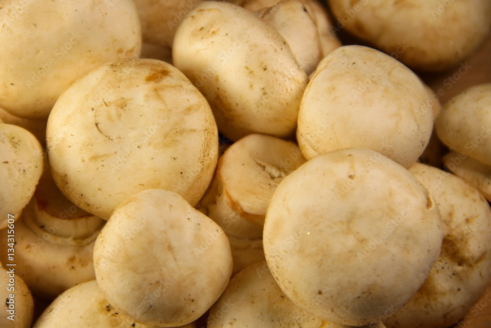 Background of the fresh mushrooms Background of the fresh mushrooms