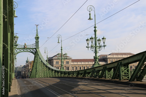 Budapest. Liberty bridge