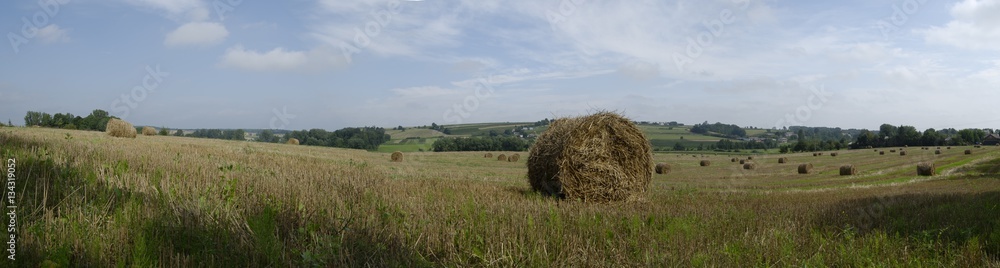 Wyzyna Lubelska - Panorama.