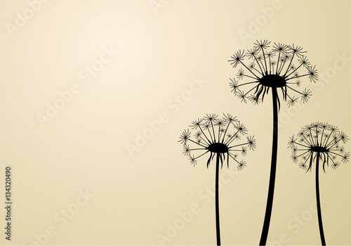Beige background with dandelions.
