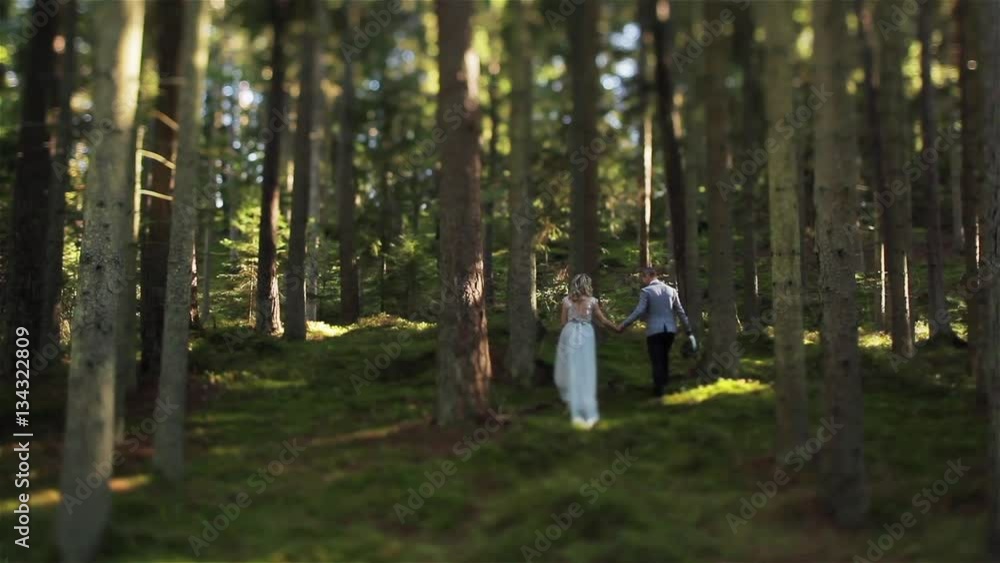 Man and woman walk up hill holding hands in green forest wide shot tilt-shift. Couple in love just married climb the mountain together. Family life after marriage working on relationship trust concept