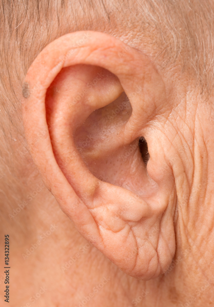 woman's ear woman's ear