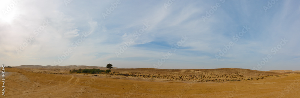 Wide panorama of desert after rain