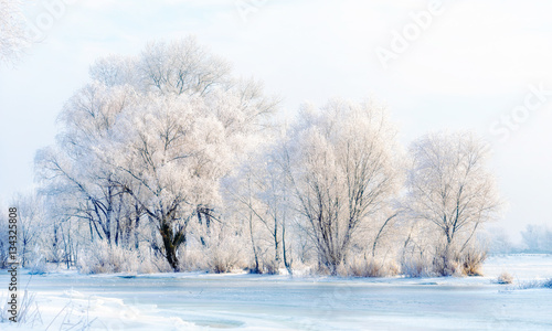 Landscape with trees, frozen water, ice and snow on the Dnieper river in Kiev, Ukraine, during winter
