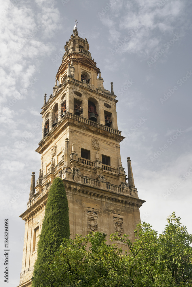 Cordoba (Andalucia, Spain): cathedral belfry