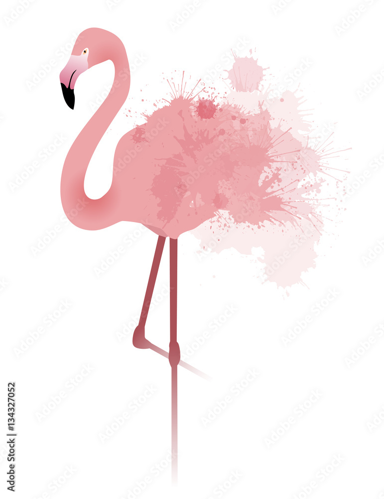 Obraz premium Vector illustration of pink flamingo with watercolor splatter and splash