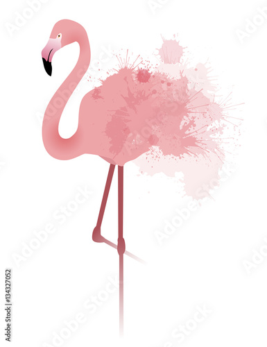Vector illustration of pink flamingo with watercolor splatter and splash