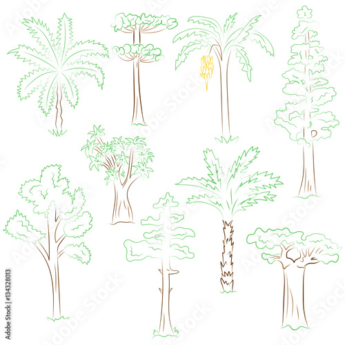 Hand Drawn Set of Green Trees. Doodle Drawings of Palms, Sequoia, Aloe, Acacia, Ceiba  in Sketch Style. Vector Illustration.