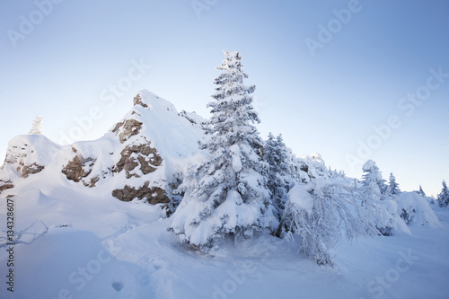 Winter landscape. Snow covered fir trees and rocks. © Crazy nook