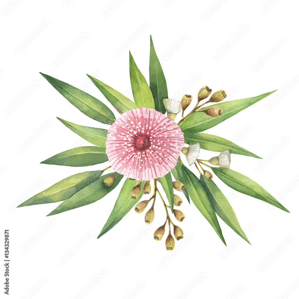 Watercolor vector bouquet with green eucalyptus leaves and branches ...