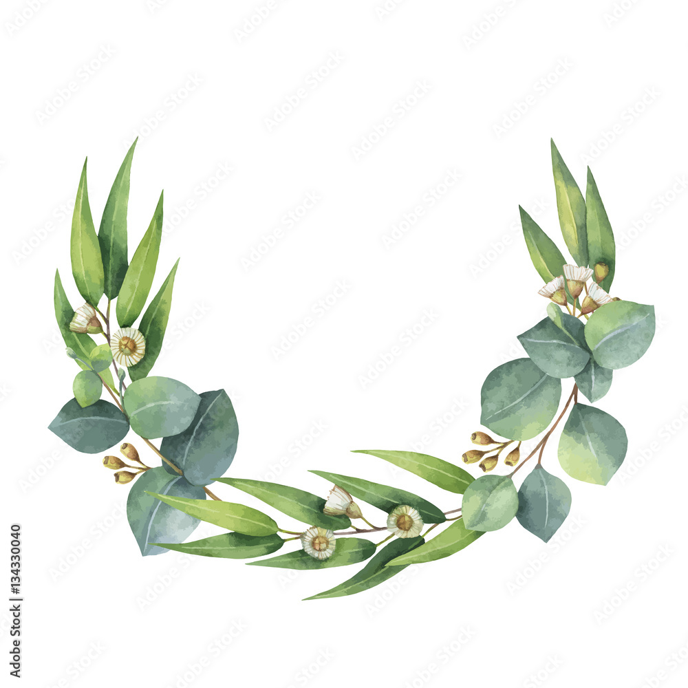 Watercolor vector wreath with green eucalyptus leaves and branches ...