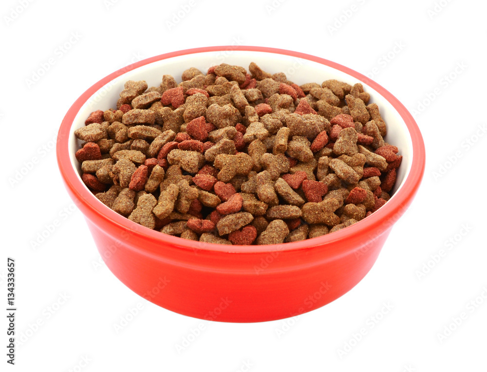 Dry cat biscuits in a red pet food bowl Dry cat biscuits in a red pet food bowl