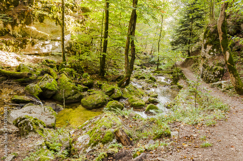 Twann, Twannbach, Twannbachschlucht, Schlucht, Wanderweg, Wald, Waldweg, Herbst, Herbstwanderung, Jura, Schweiz