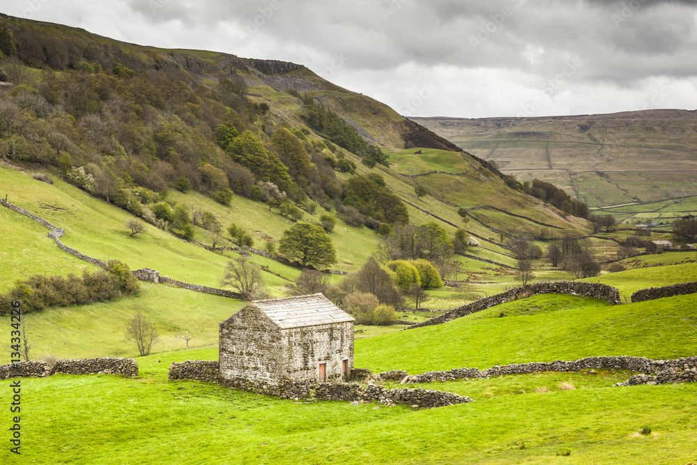 Swaledale in the Yorkshire Dales. Swaledale in the Yorkshire Dales.