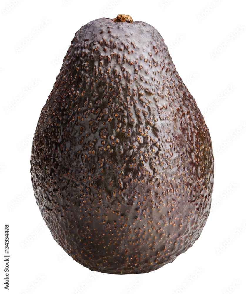 Avocado isolated on white background Avocado isolated on white background