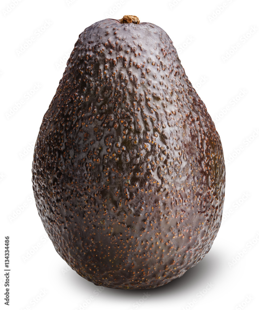 Avocado isolated on white background Avocado isolated on white background