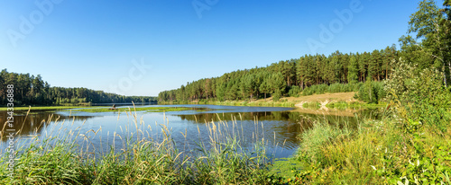 летний пейзаж на берегу реки с сосновым бором и камышами, Россия, Урал,