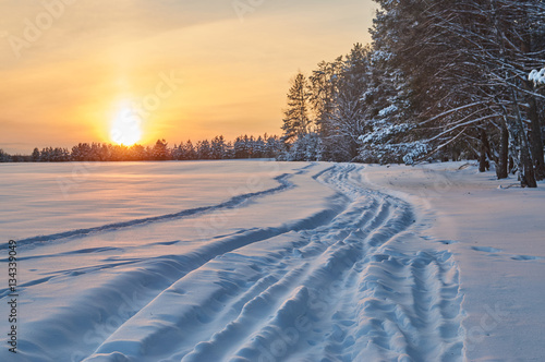  Winter landscape with a dirt road near the coniferous forest at sunset