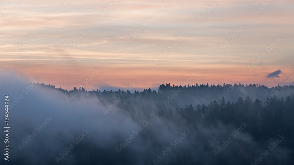 Mist at dawn in the mountains Bieszczady