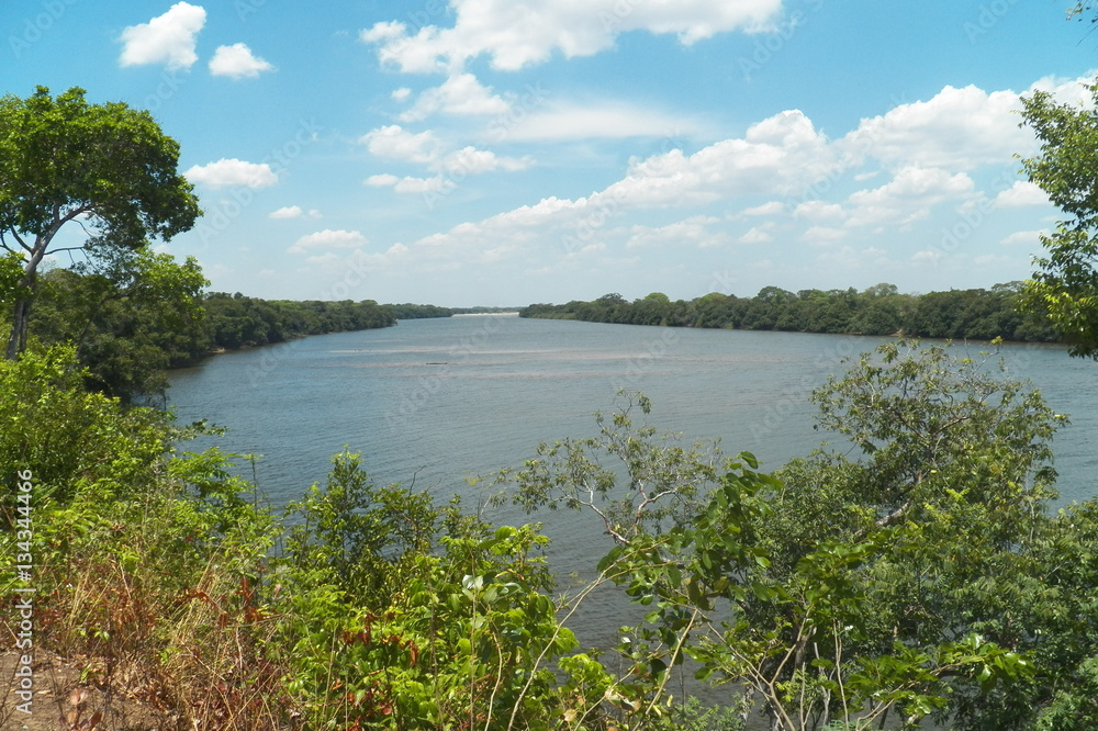 Fototapeta premium rio en el amazonas