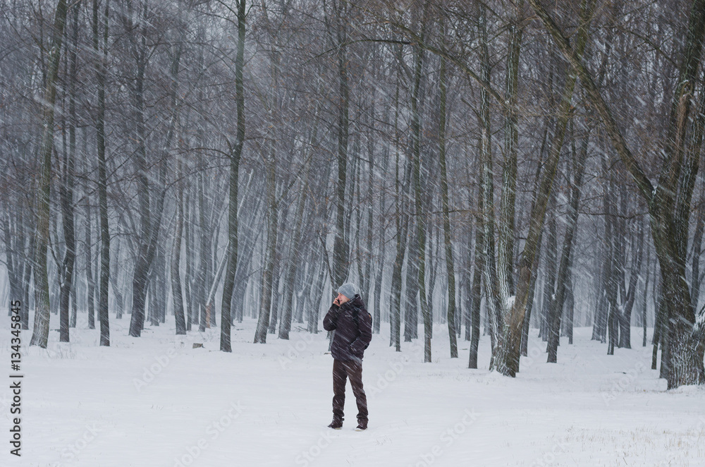 Beautiful winter day, pine tree forest,man standing alone and watching nature. it's snowing.