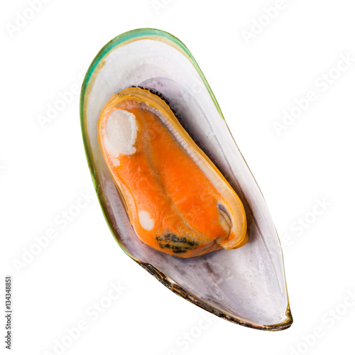 Tasty mussels isolated on white