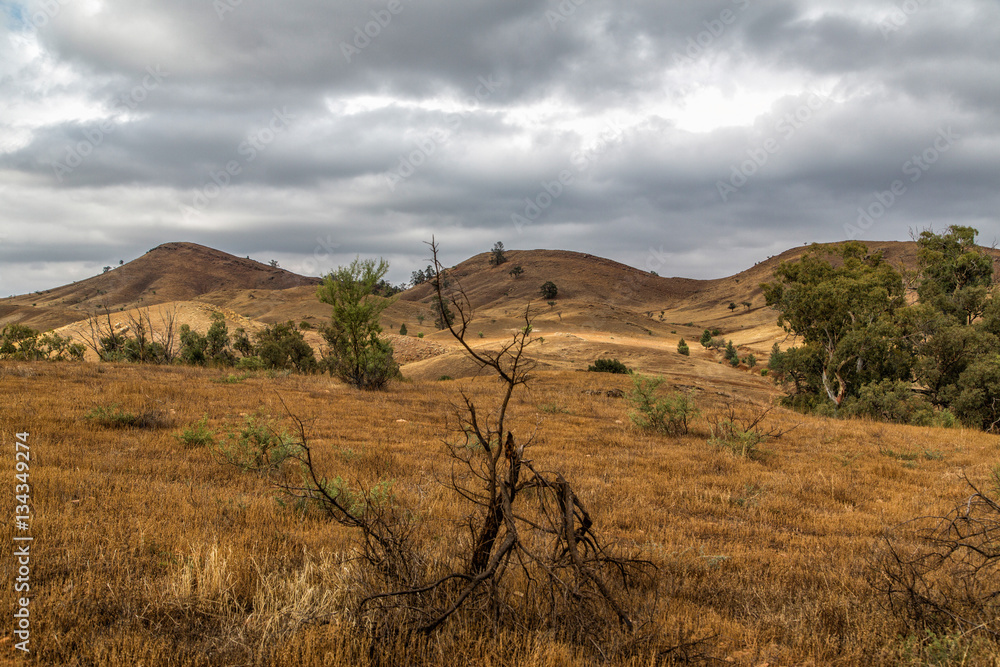 Flinders Ranges Flinders Ranges