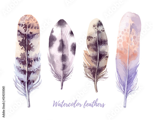 Hand drawn vector illustration - Watercolor feathers collection. Aquarelle boho set. Isolated on white background. Perfect for invitations, greeting cards, posters, prints