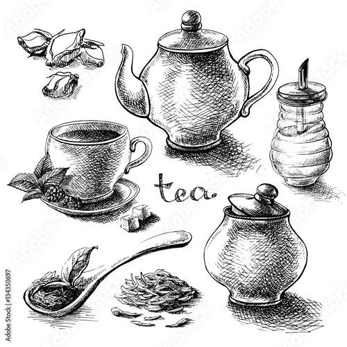 tea collection elements in graphic style, hand-drawn vector illustration.