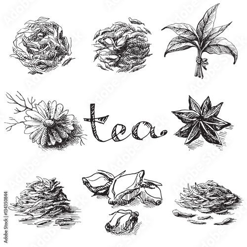 Collection of tea leaves. Green, black, Pekoe tea in graphic style, hand-drawn vector illustration