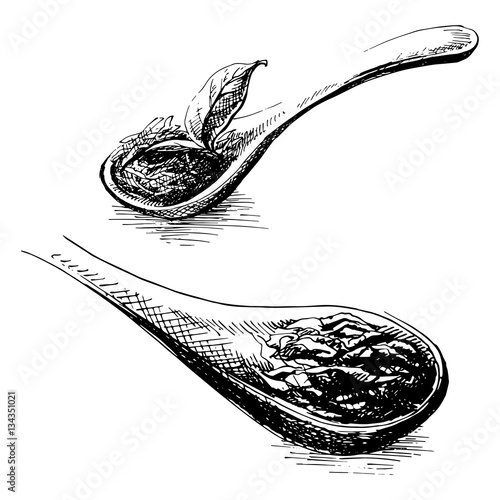 wooden spoon with tea leaves in graphic style, hand-drawn vector illustration.