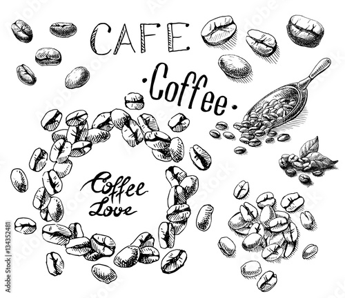 set of coffee beans and leaves and scoop in graphic style