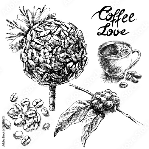 set of coffee beans and leaves and cup in graphic style