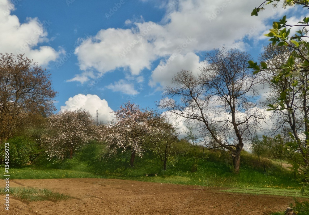 earth colors in the spring