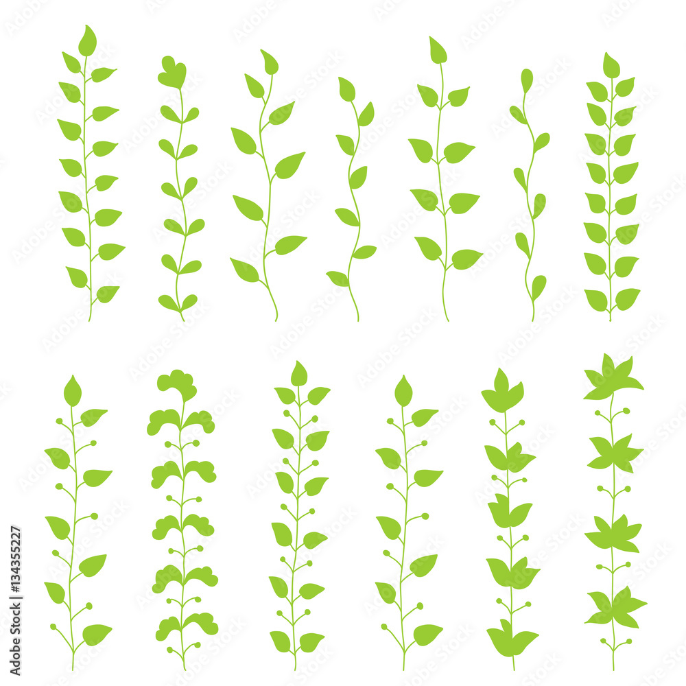 Decorative green branch set. Vector illustration.