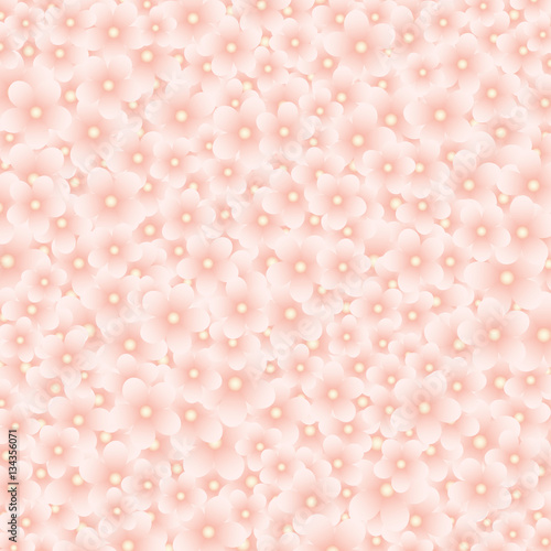 Vector background, densely covered with light pink cherry flowers. Square format.
