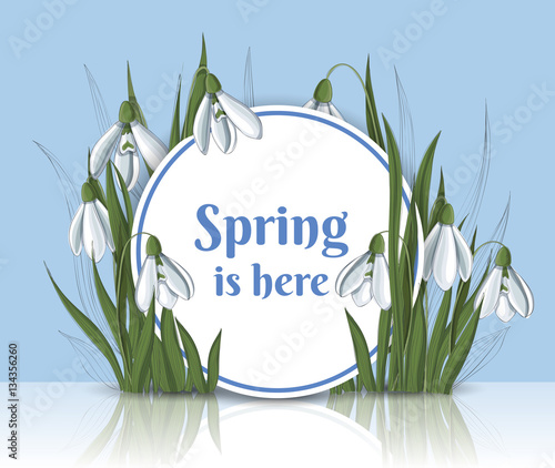 Round paper frame with snowdrop flowers, leaf, and bud, on blue background. Vector illustration for spring designs.