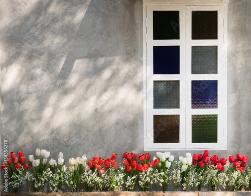Wall cement and window of home decorate with flower.