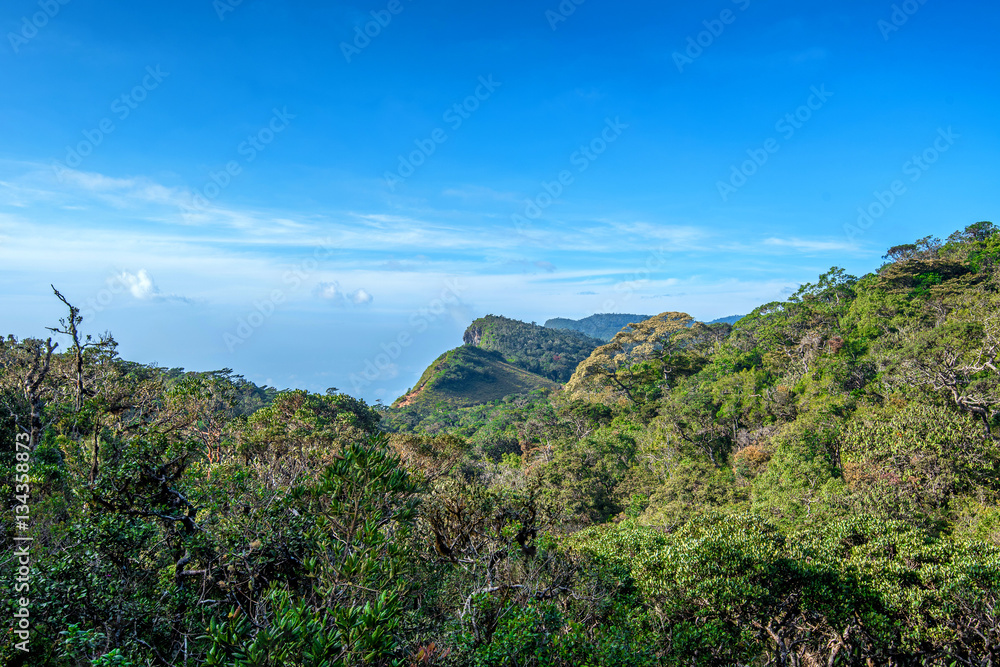 Scenic view of tropical mountain forest Scenic view of tropical mountain forest