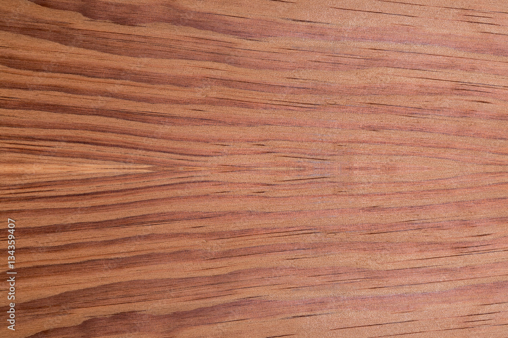 top view of Softwood brown conifers texture with nature background top view of Softwood brown conifers texture with nature background