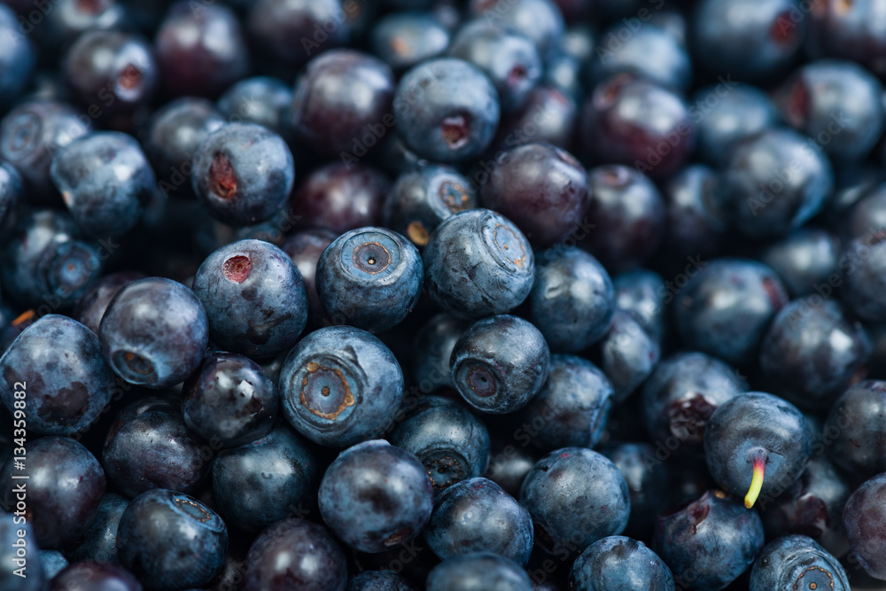 Blueberries as background Blueberries as background