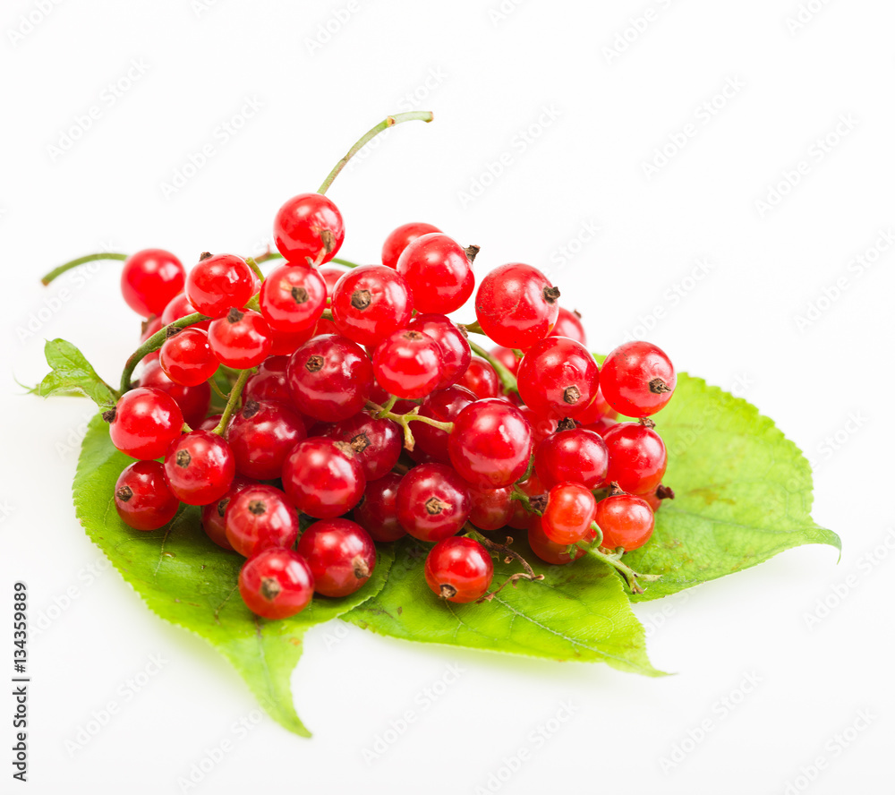 Red Currant on green leaves on white background Red Currant on green leaves on white background