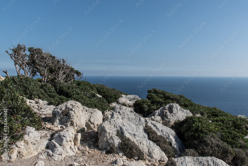 view over mediterranean sea from cliffs high over the water with rocks and knobby tree in foreground