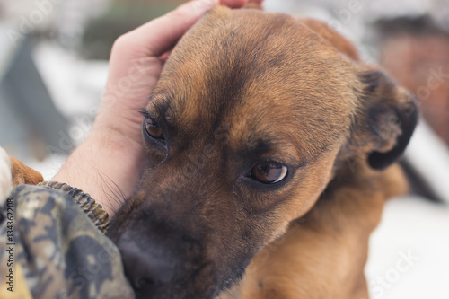 Friendship man and dog